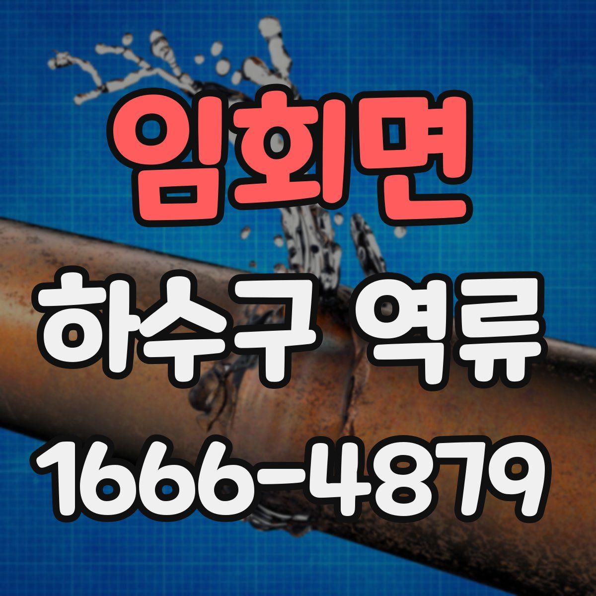 임회면 하수구 역류