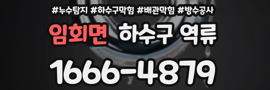 임회면 하수구 역류