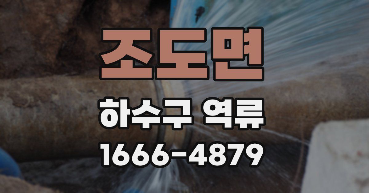 조도면 하수구 역류