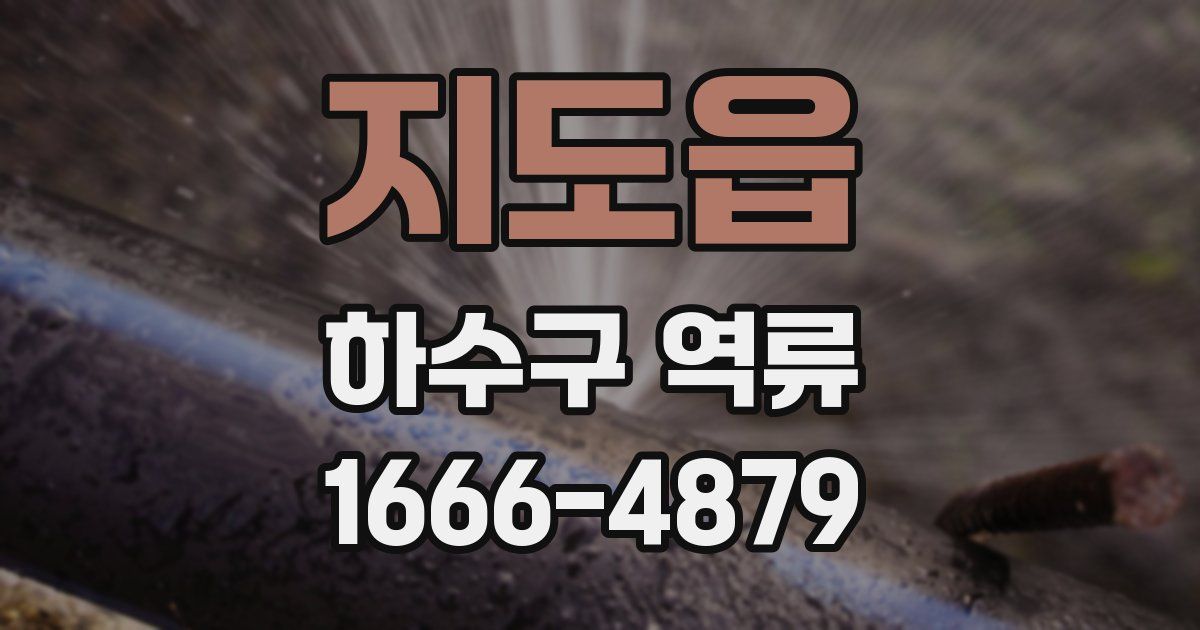 지도읍 하수구 역류