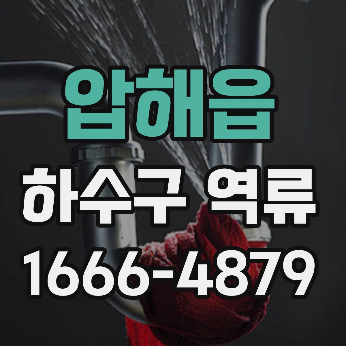 압해읍 하수구 역류