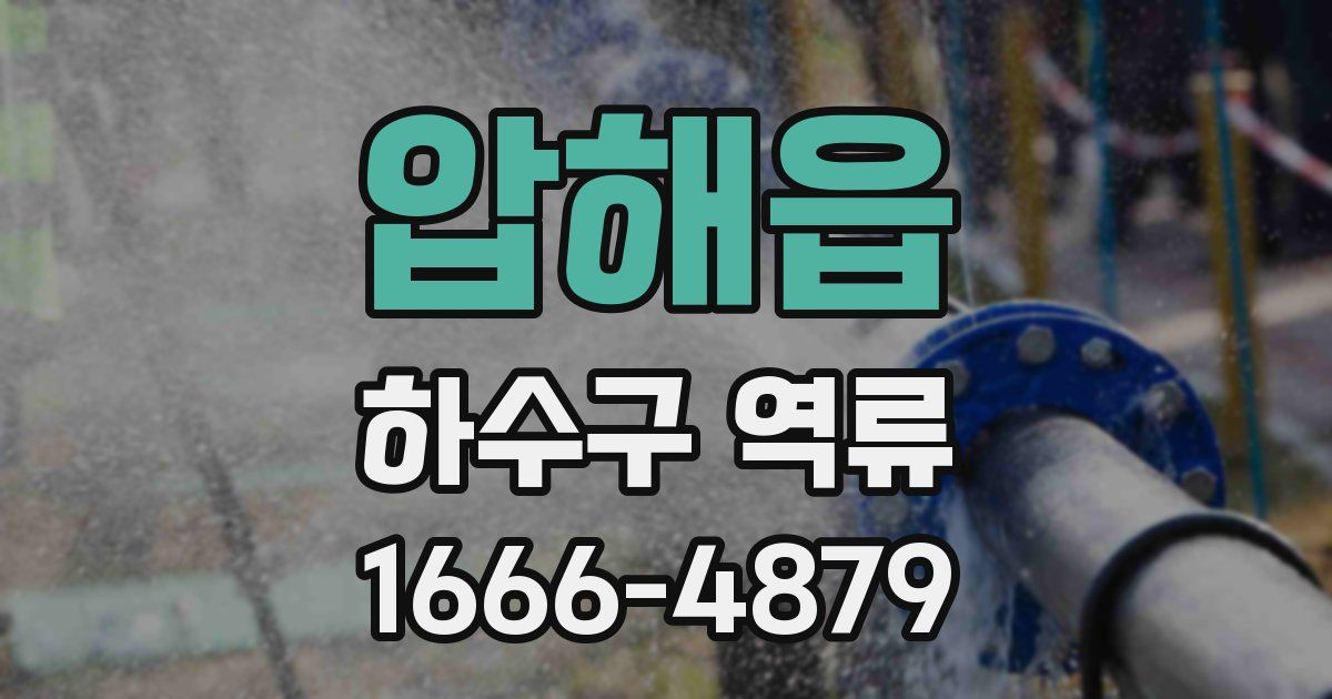 압해읍 하수구 역류