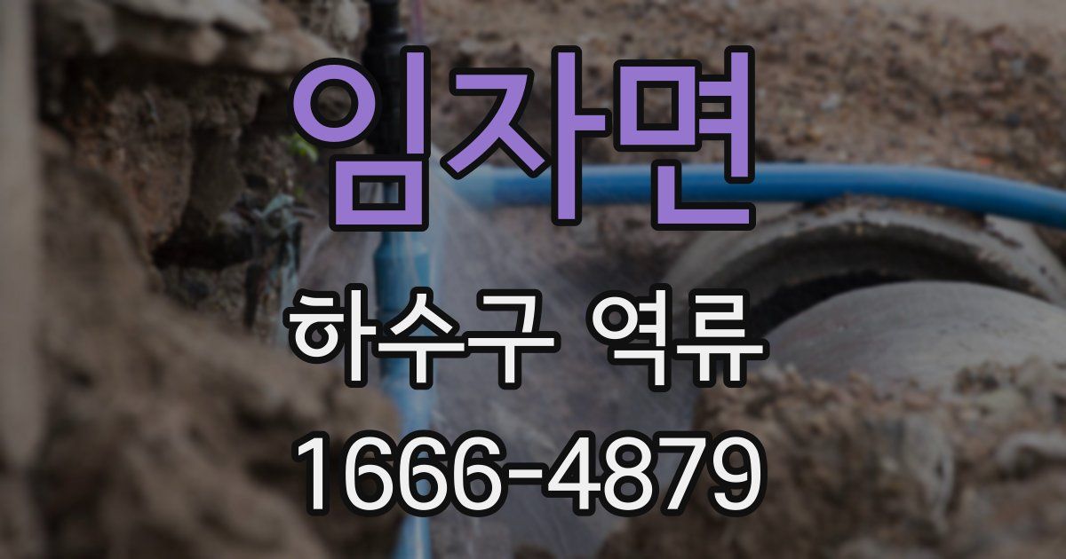 임자면 하수구 역류