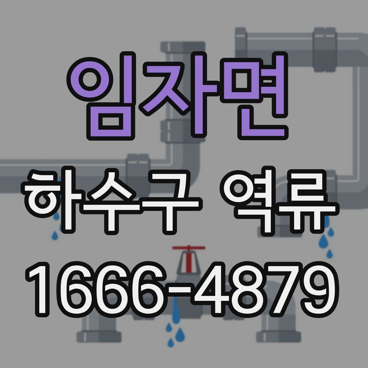 임자면 하수구 역류