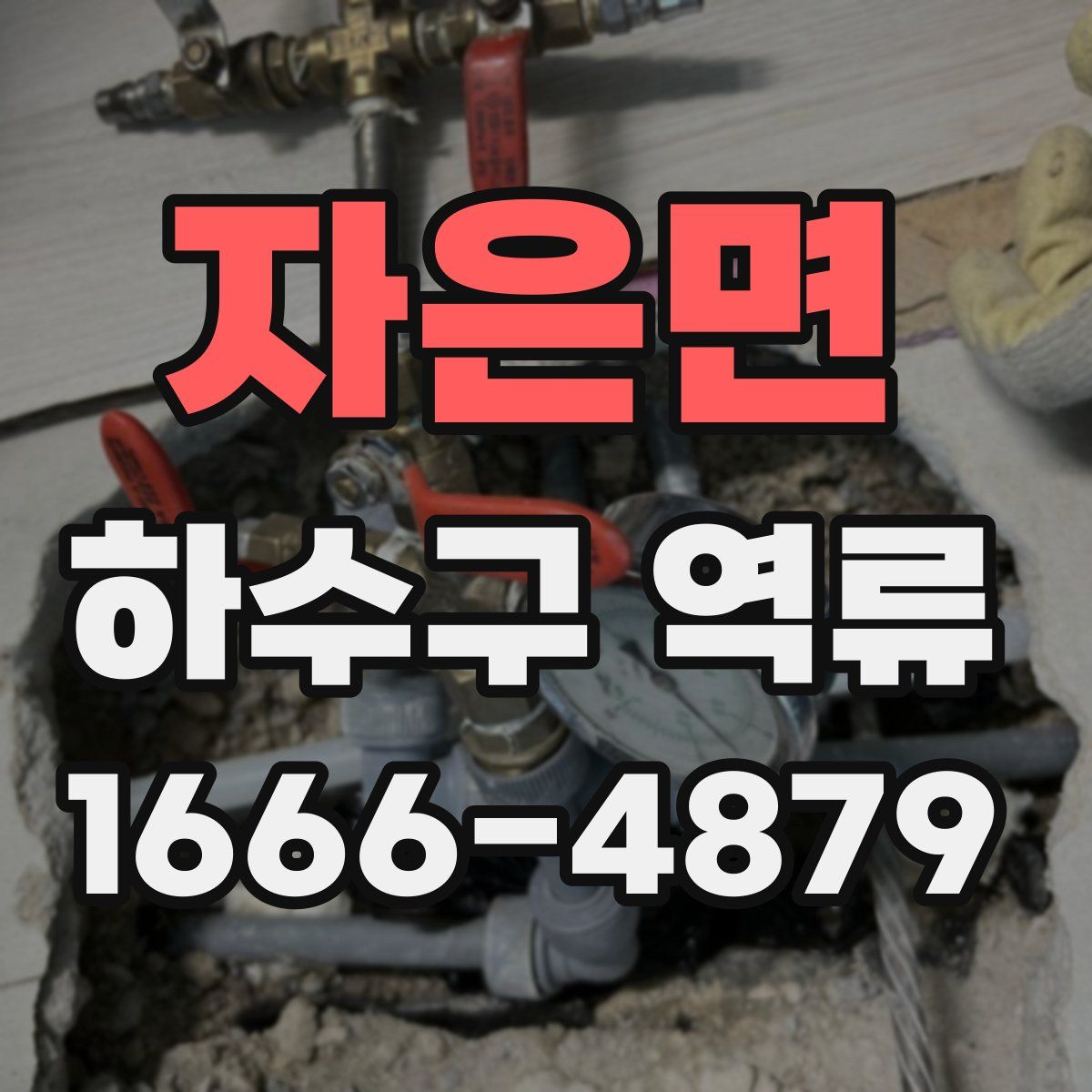 자은면 하수구 역류