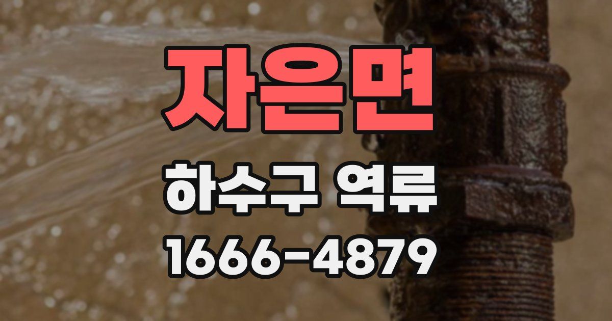 자은면 하수구 역류