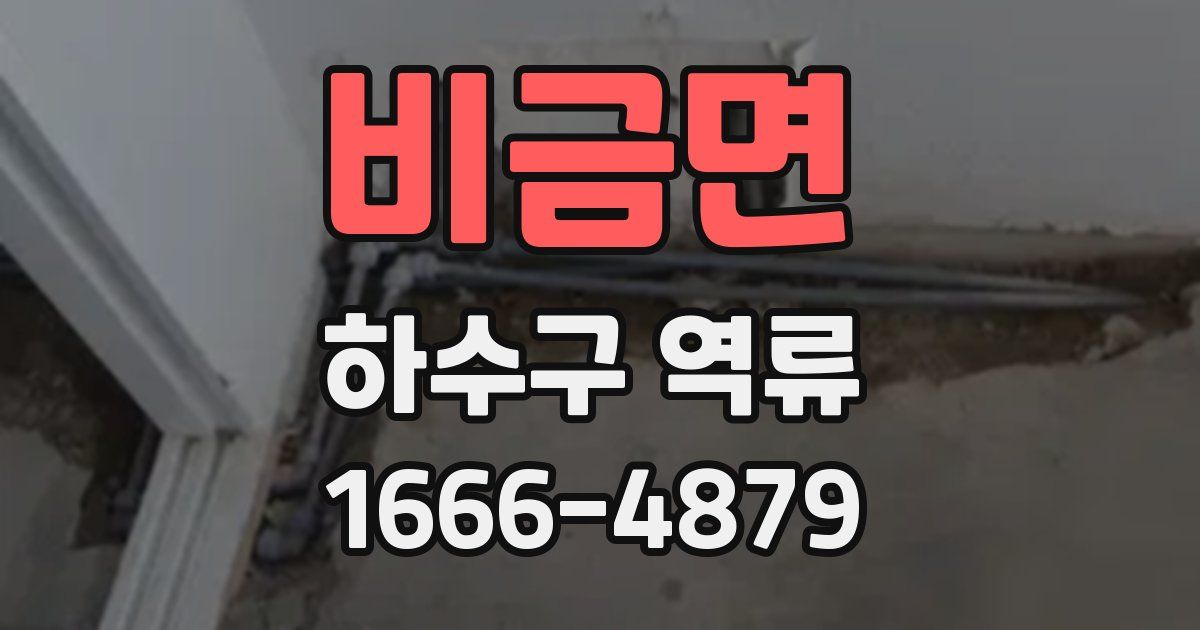비금면 하수구 역류