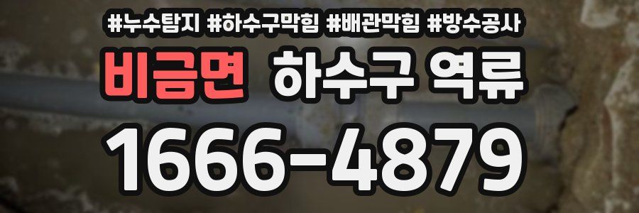비금면 하수구 역류