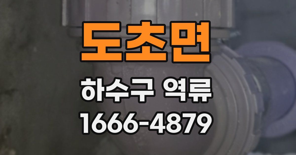 도초면 하수구 역류
