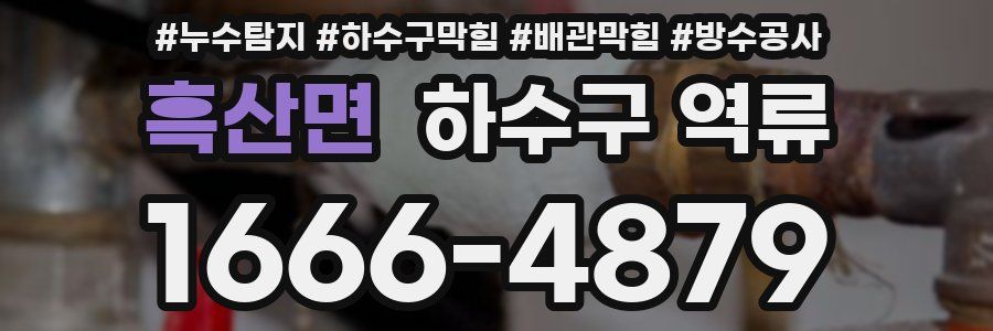 흑산면 하수구 역류