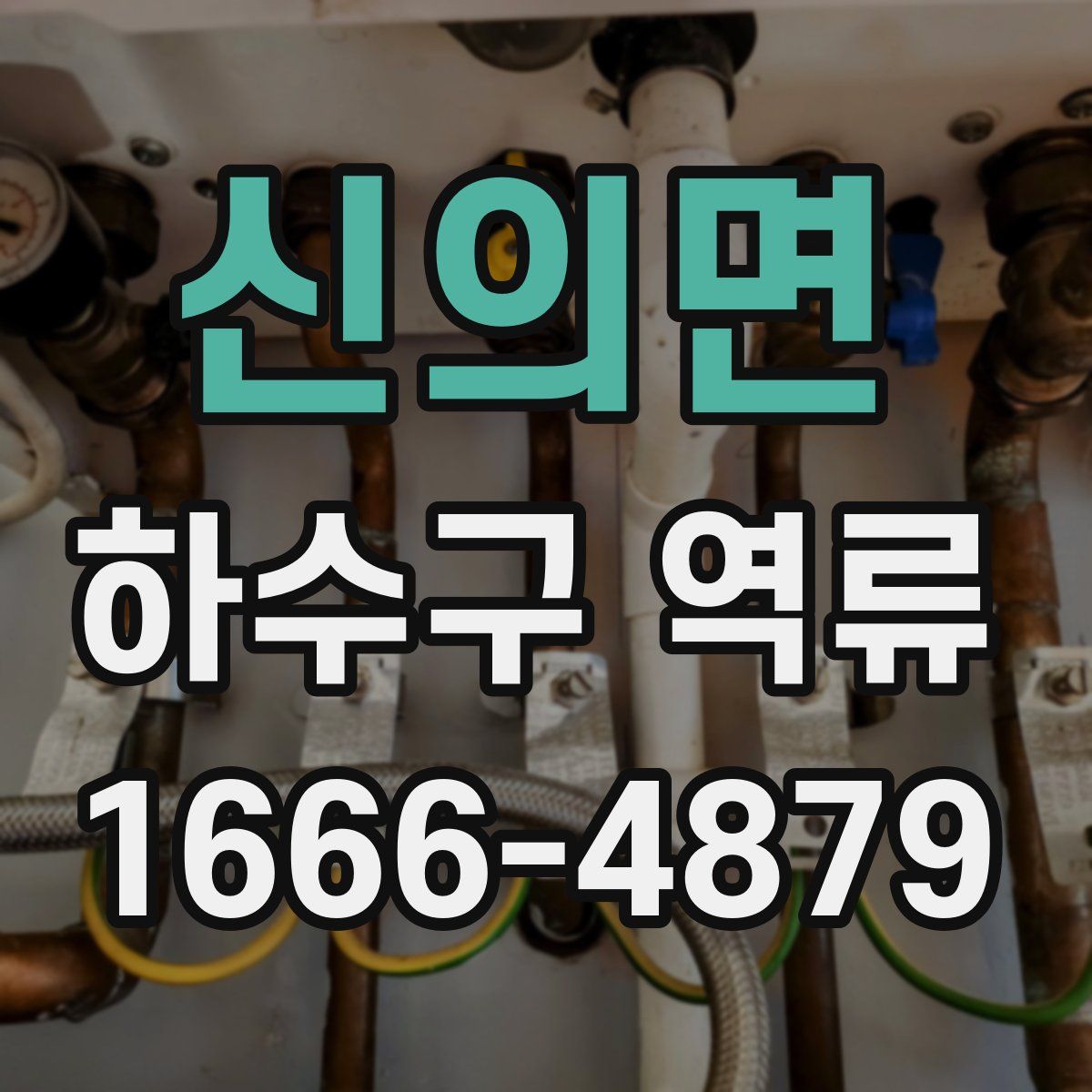 신의면 하수구 역류
