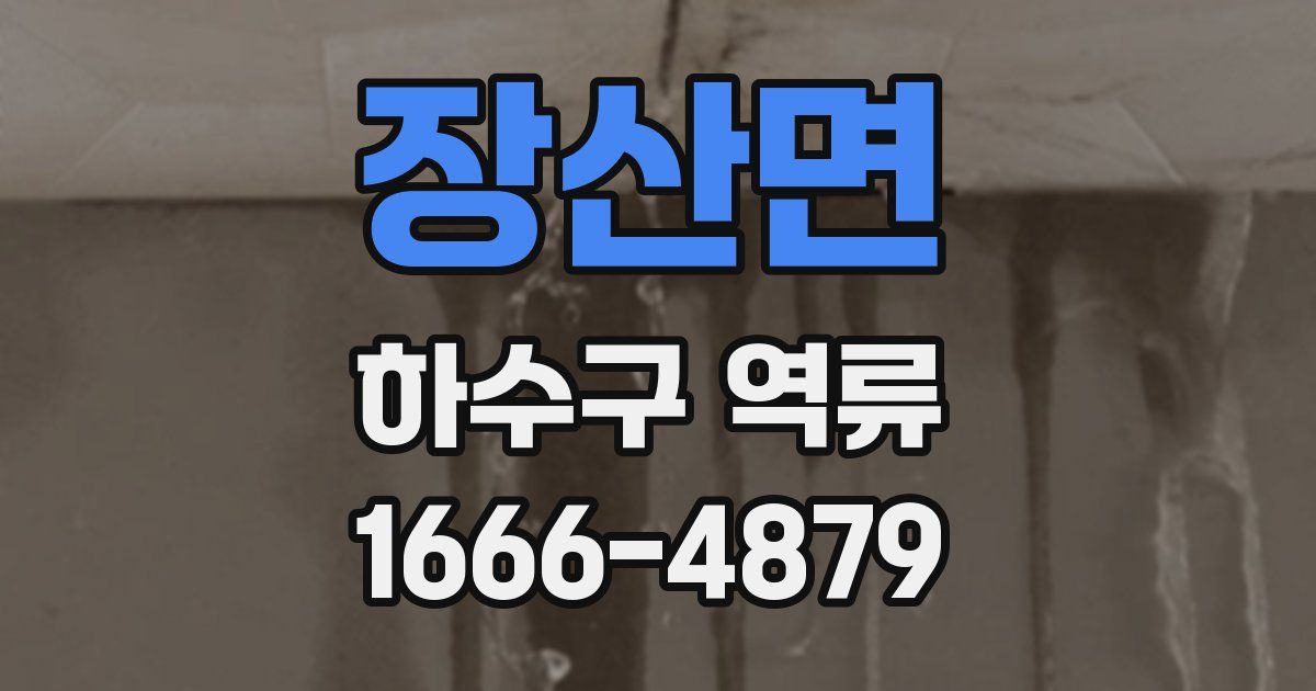 장산면 하수구 역류