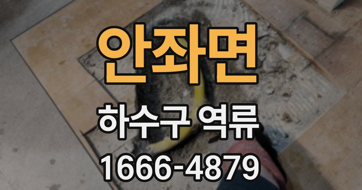 안좌면 하수구 역류