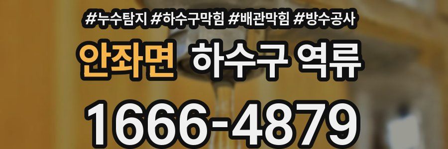 안좌면 하수구 역류