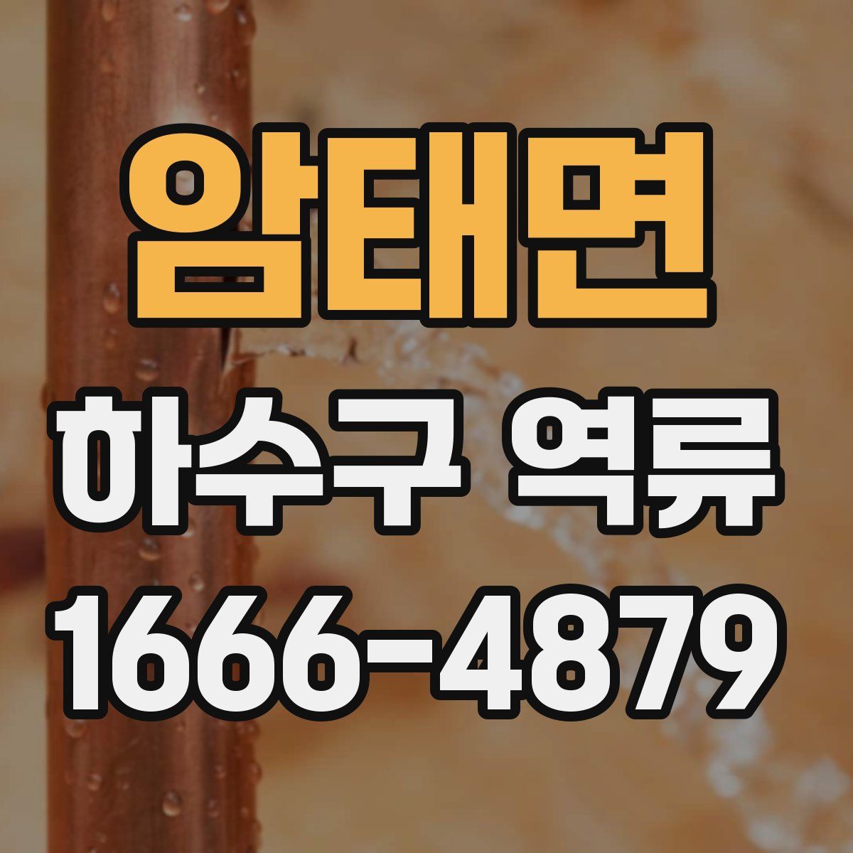 암태면 하수구 역류