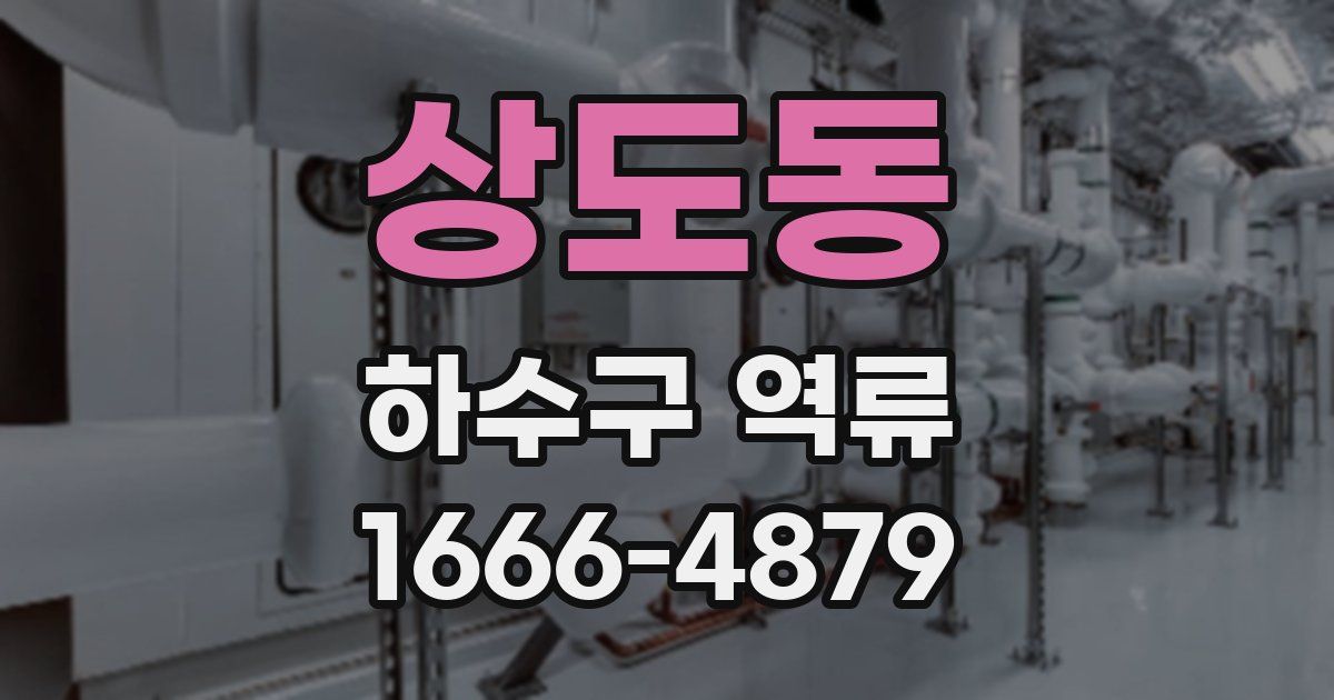 상도동 하수구 역류