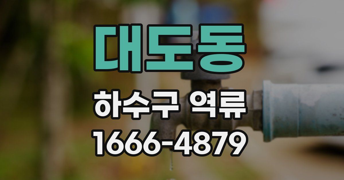 대도동 하수구 역류