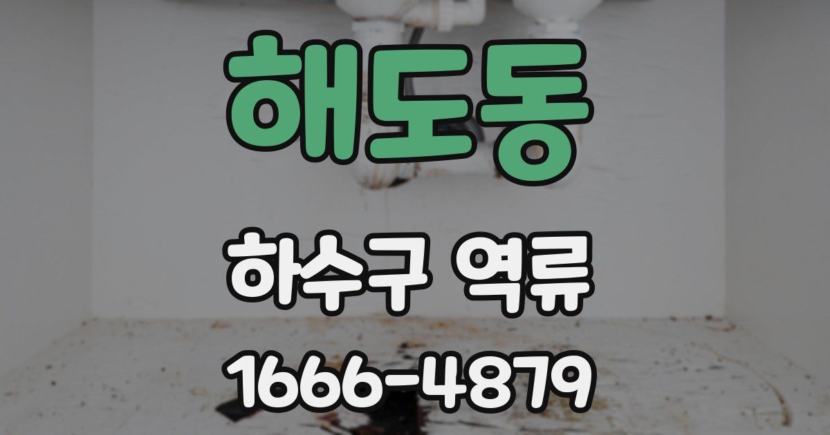 해도동 하수구 역류