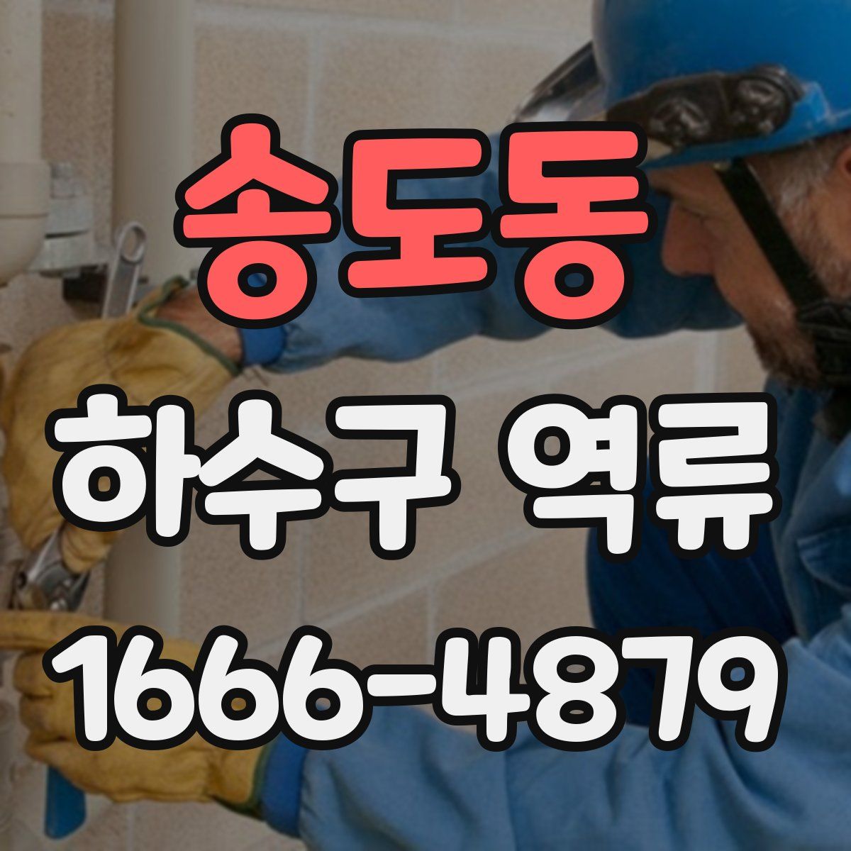 송도동 하수구 역류