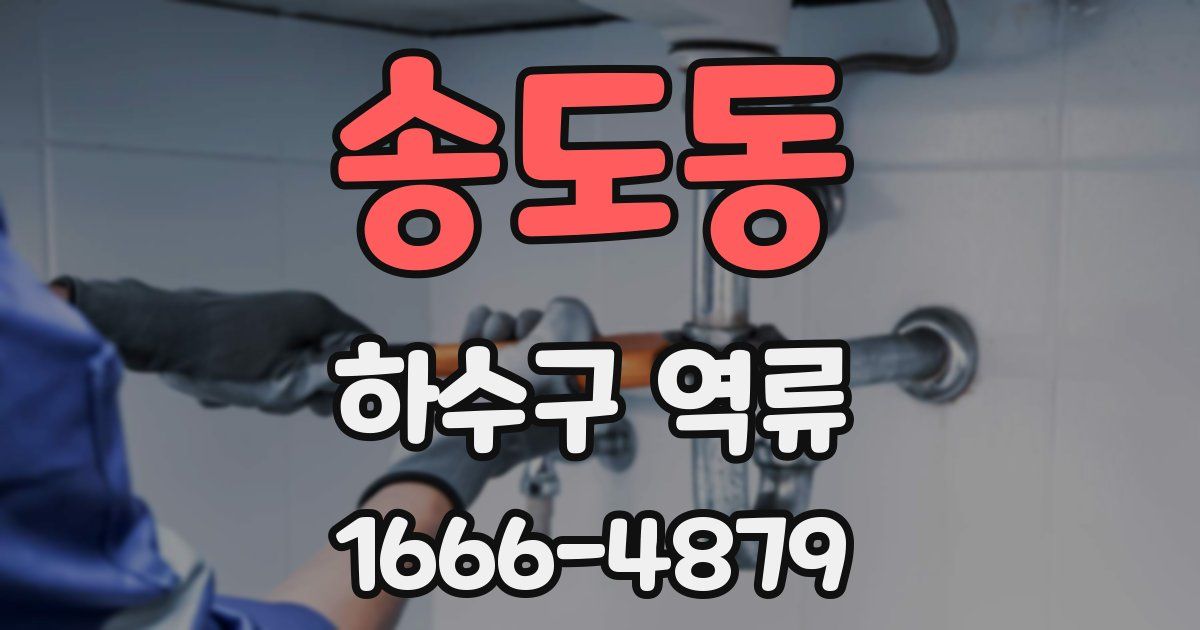 송도동 하수구 역류