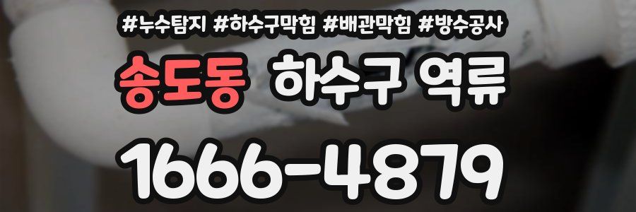 송도동 하수구 역류