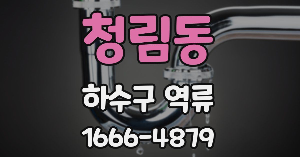 청림동 하수구 역류
