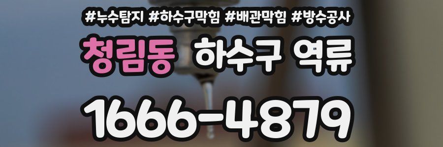 청림동 하수구 역류