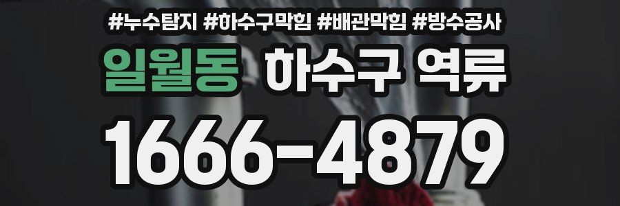 일월동 하수구 역류