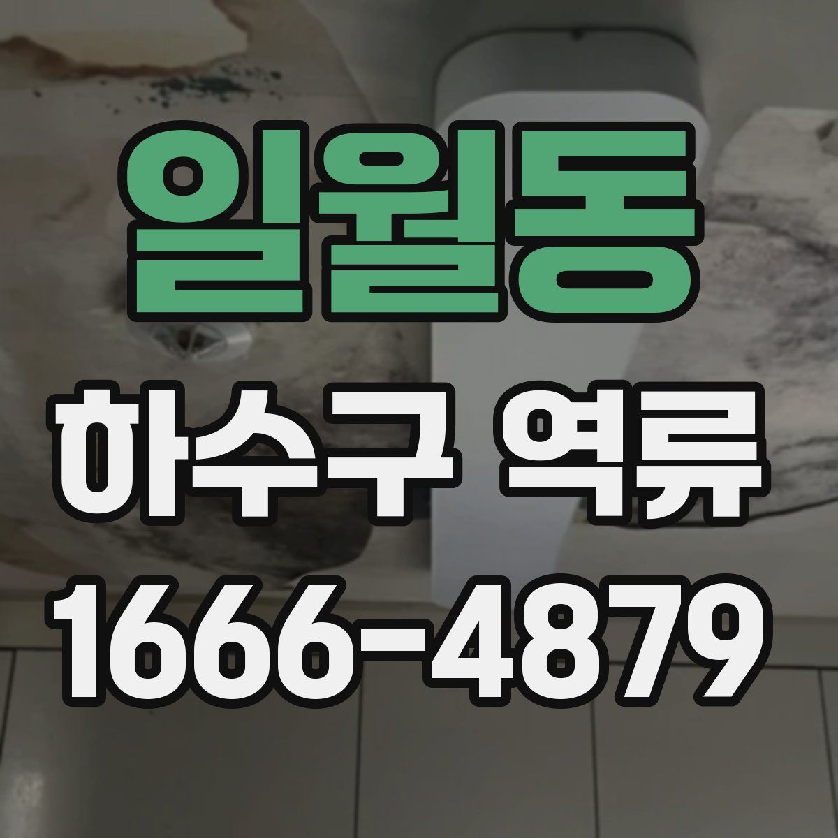 일월동 하수구 역류
