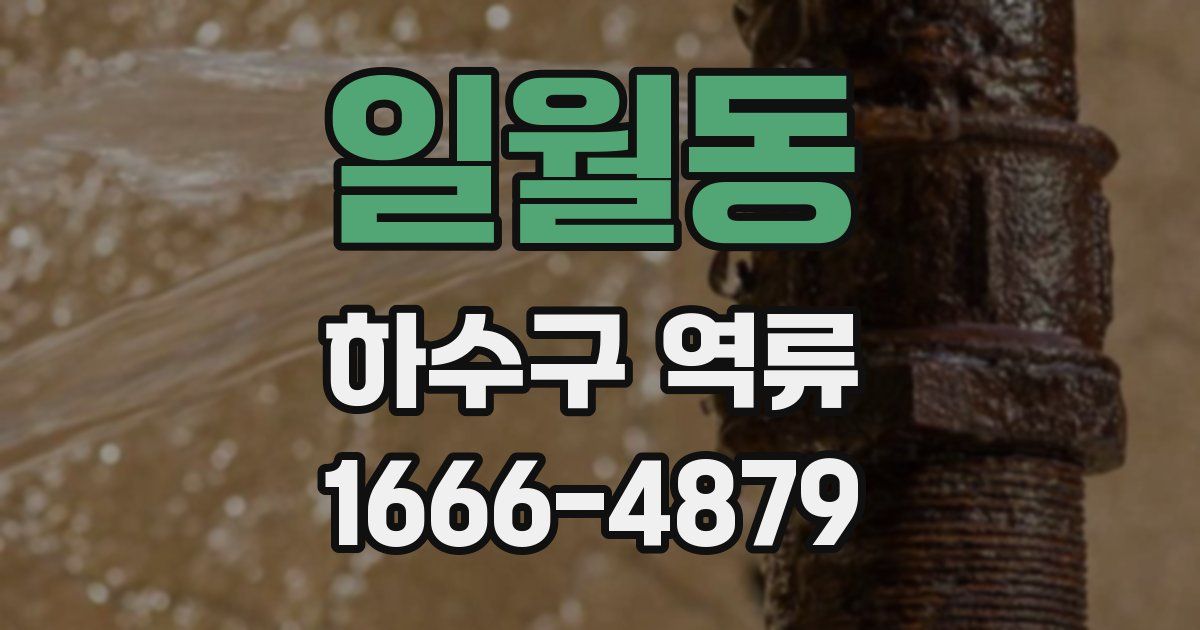 일월동 하수구 역류