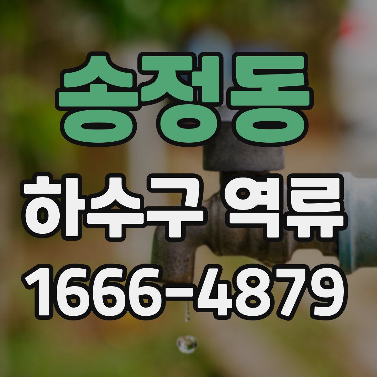 송정동 하수구 역류