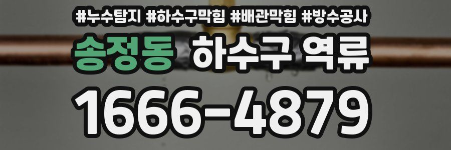 송정동 하수구 역류