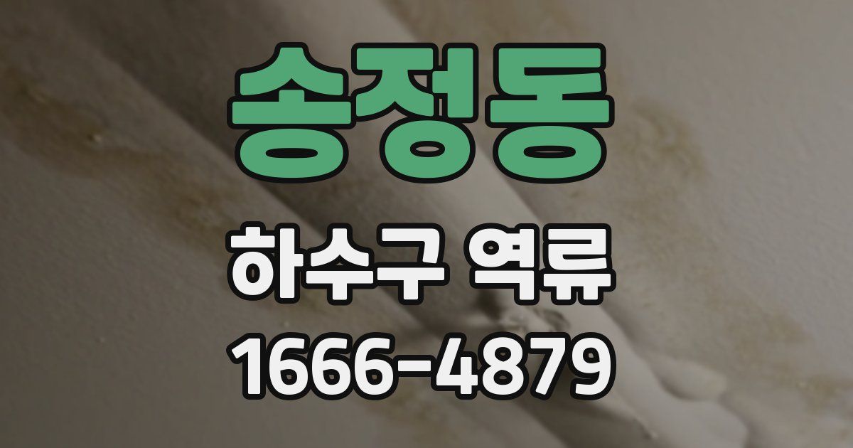 송정동 하수구 역류