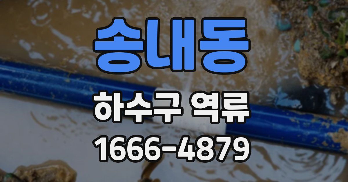 송내동 하수구 역류