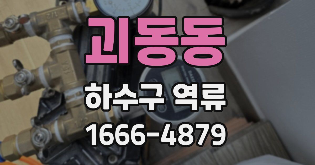 괴동동 하수구 역류