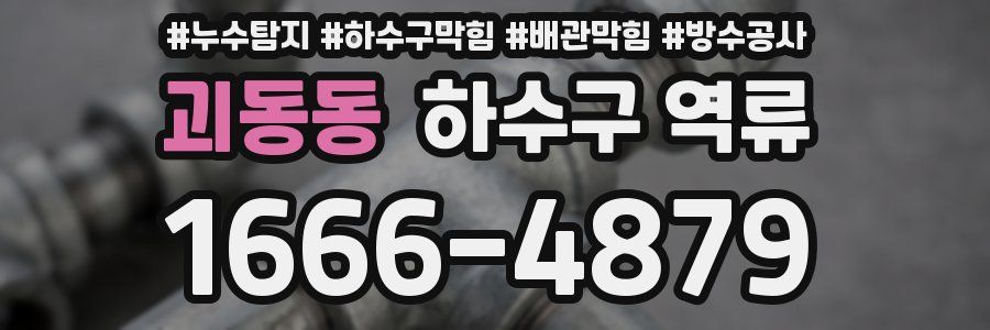 괴동동 하수구 역류