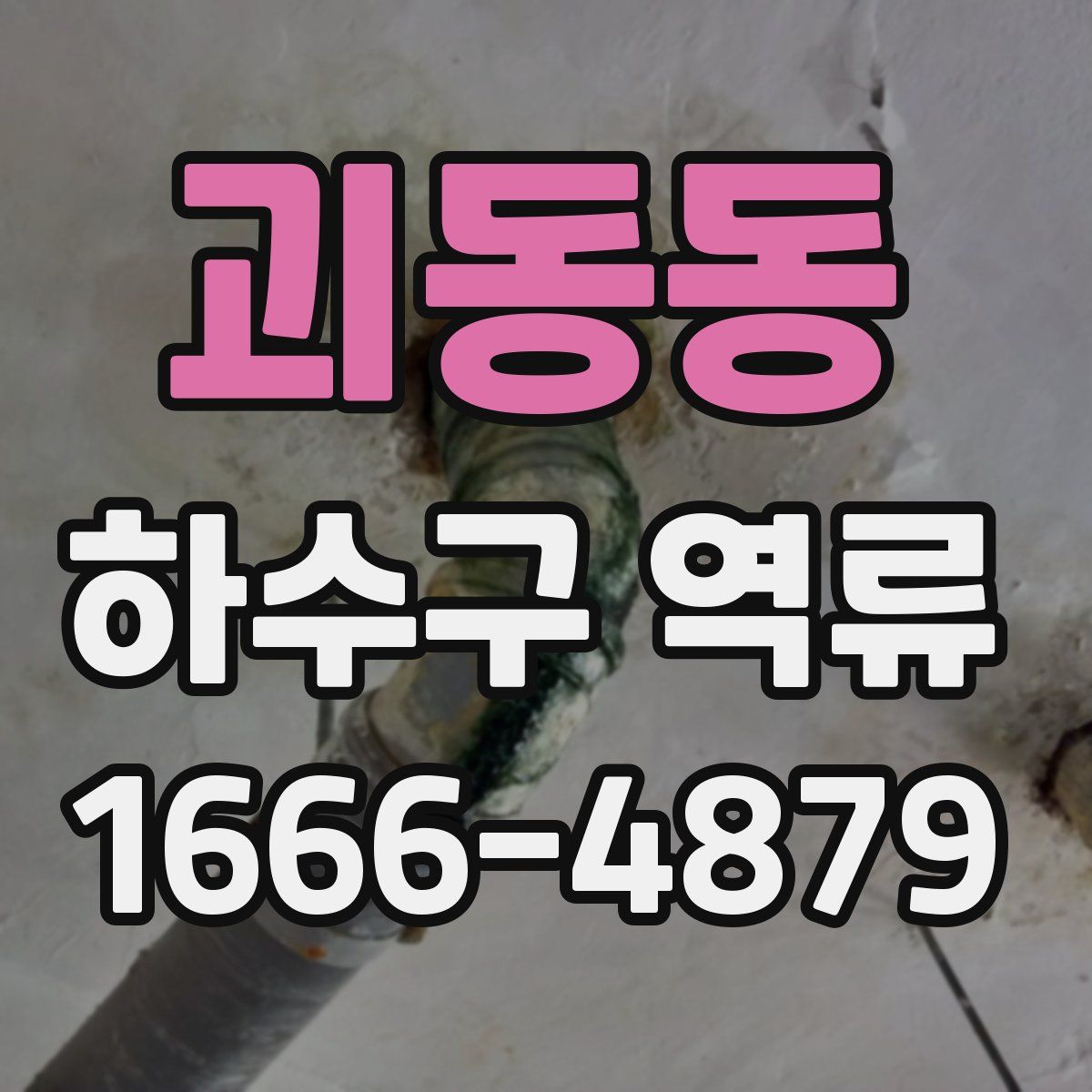 괴동동 하수구 역류