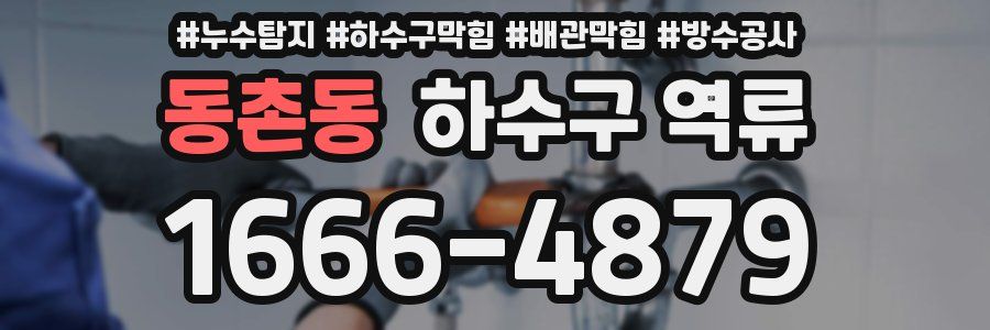 동촌동 하수구 역류