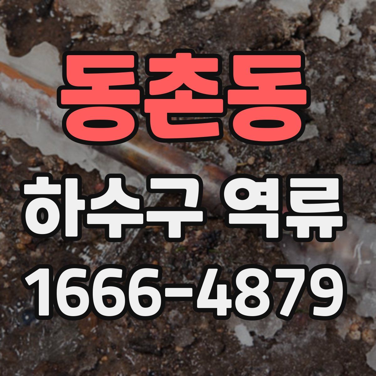 동촌동 하수구 역류