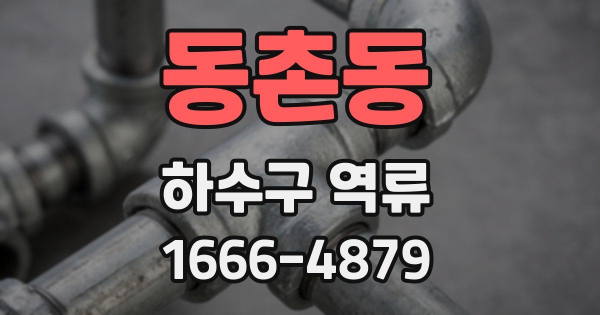 동촌동 하수구 역류