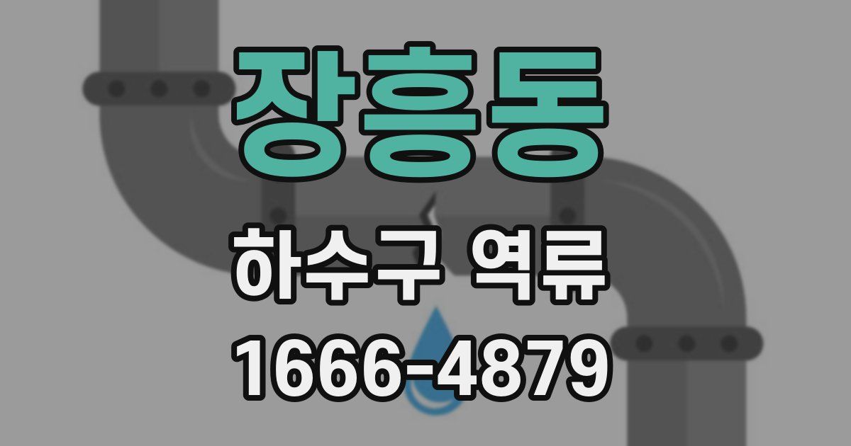 장흥동 하수구 역류