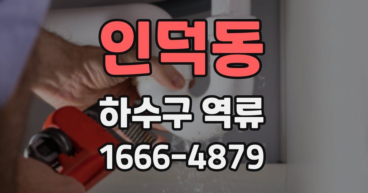 인덕동 하수구 역류