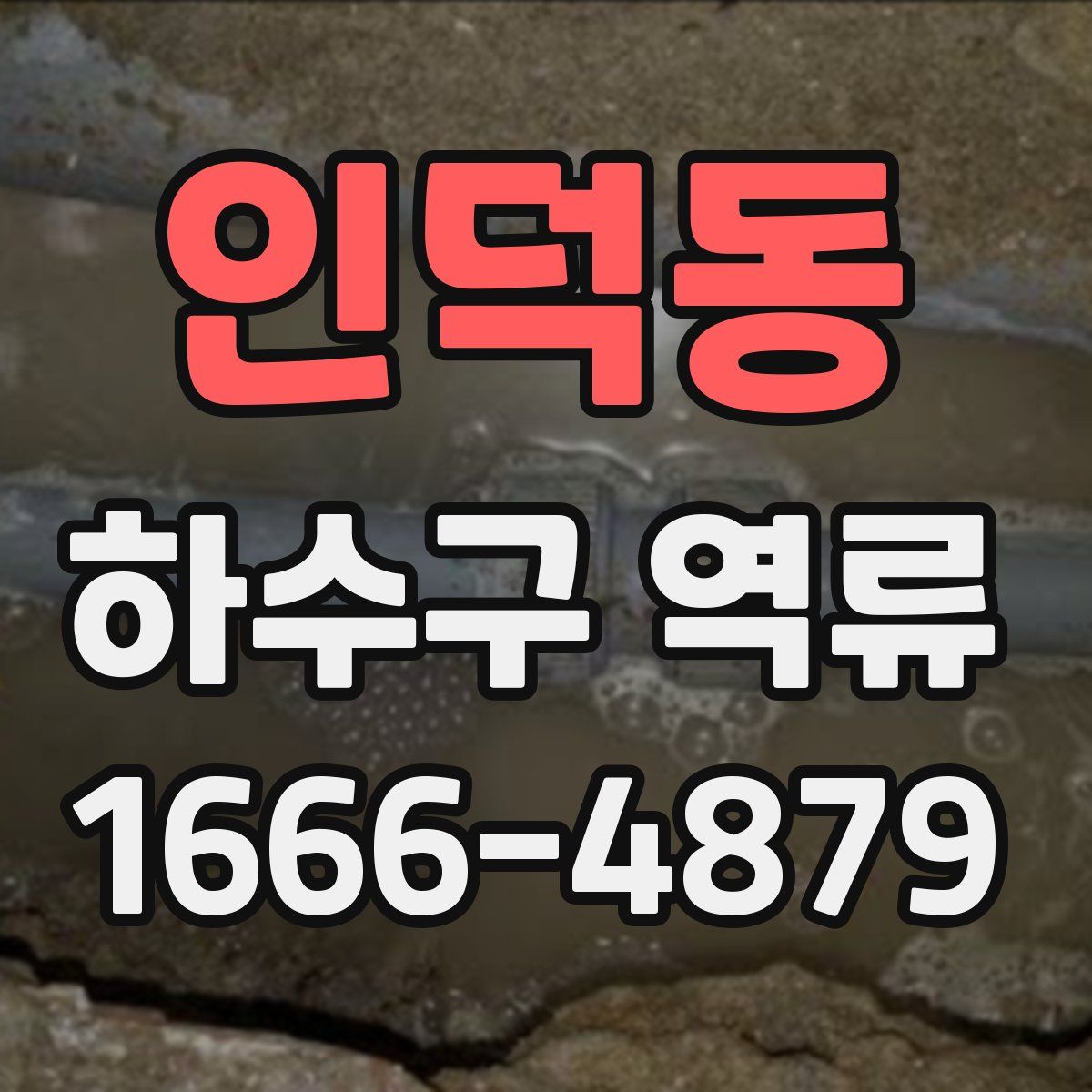 인덕동 하수구 역류