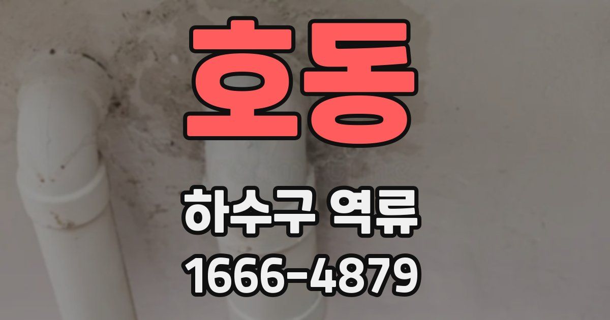 호동 하수구 역류
