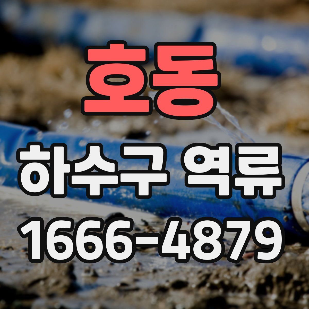 호동 하수구 역류