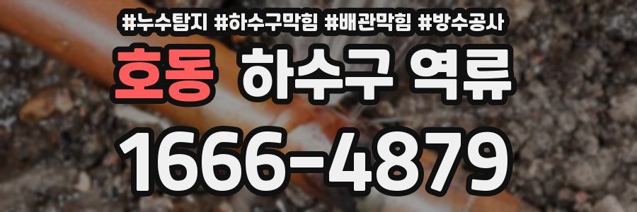 호동 하수구 역류