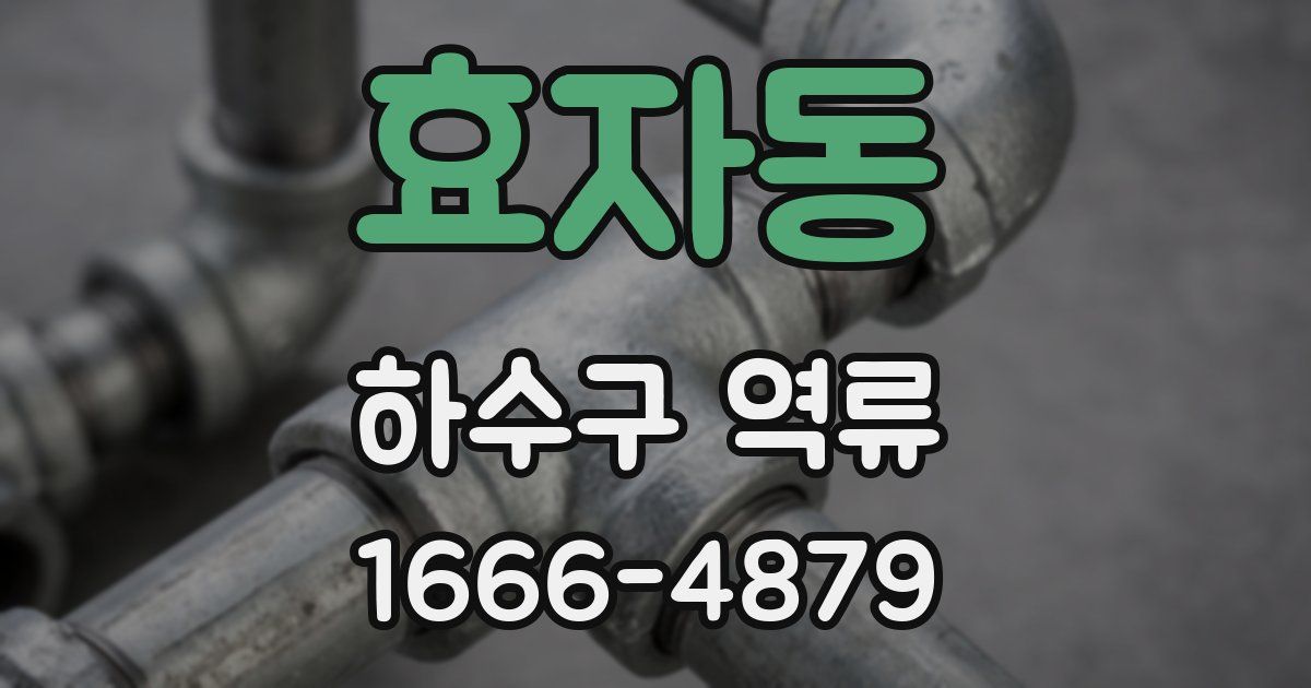 효자동 하수구 역류