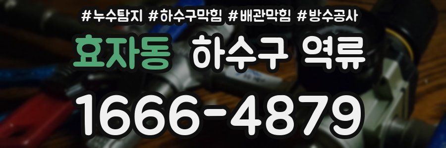 효자동 하수구 역류