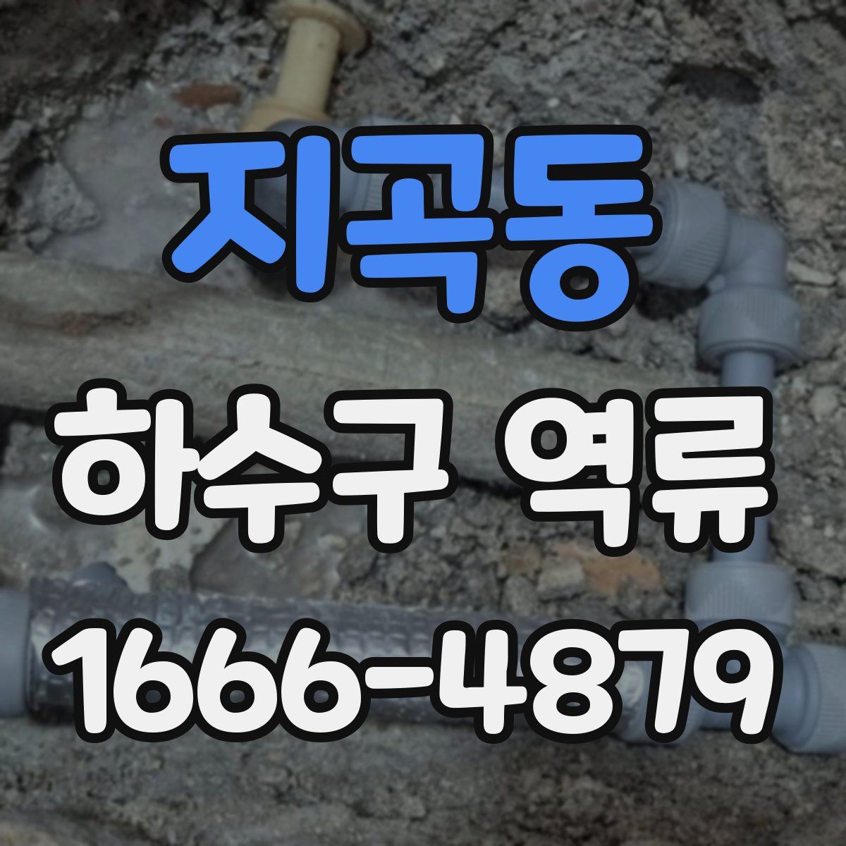 지곡동 하수구 역류