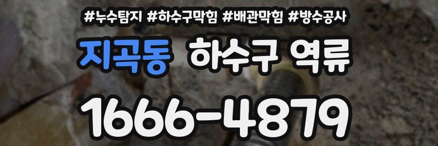 지곡동 하수구 역류
